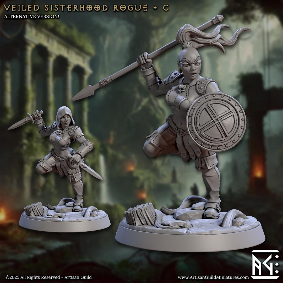Veiled Sisters | Amazon Rogues | Warriors | 32mm | Medium | Amazon Warrior | Artisan Guild | Veiled Sisterhood | Dungeons and Dragons