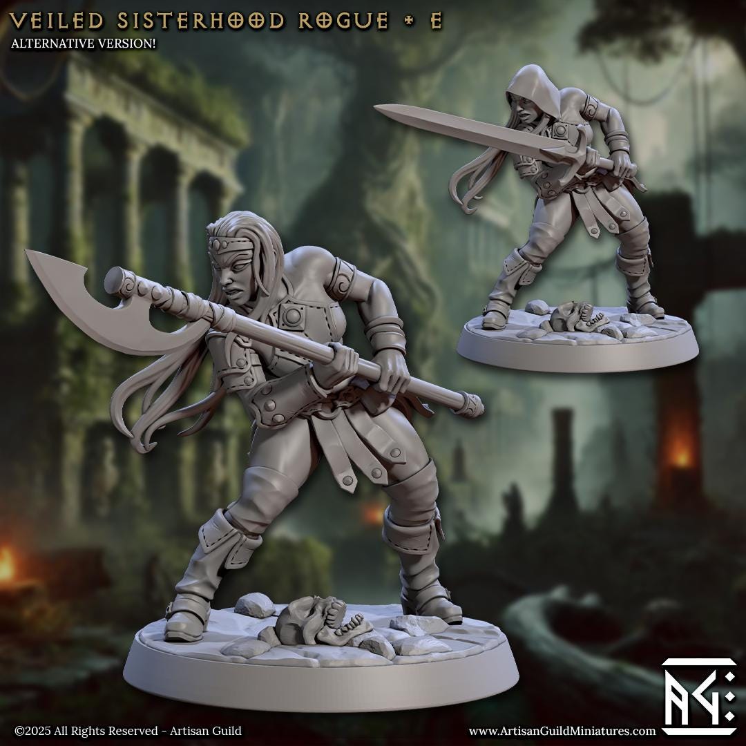 Veiled Sisters | Amazon Rogues | Warriors | 32mm | Medium | Amazon Warrior | Artisan Guild | Veiled Sisterhood | Dungeons and Dragons