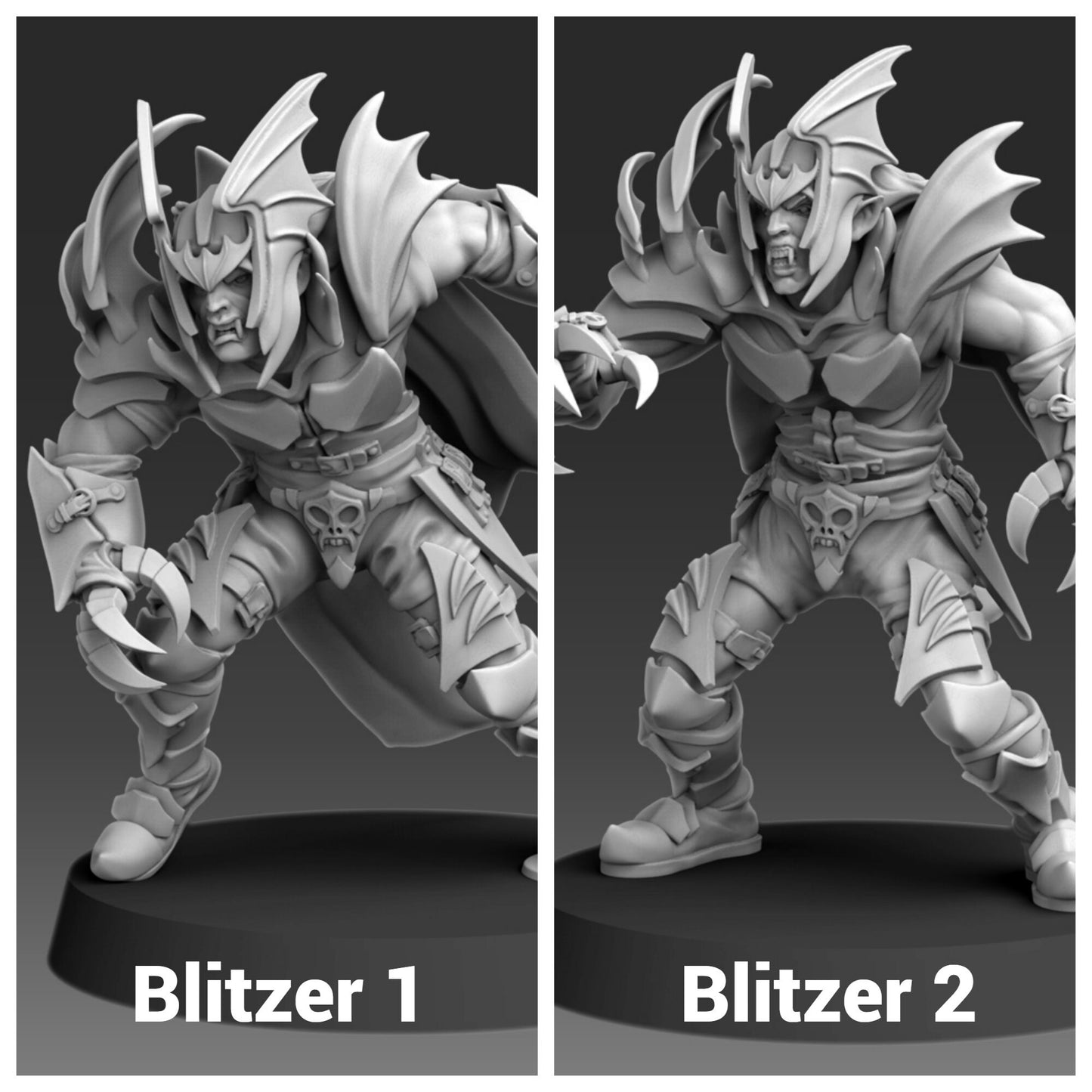 Bloody Knights | Vampire Team | Fantasy Football | Realm of Paths | Bat Ogre | Runner | Thrower | Blitzer | Gargoyle | Dungeons and Dragons