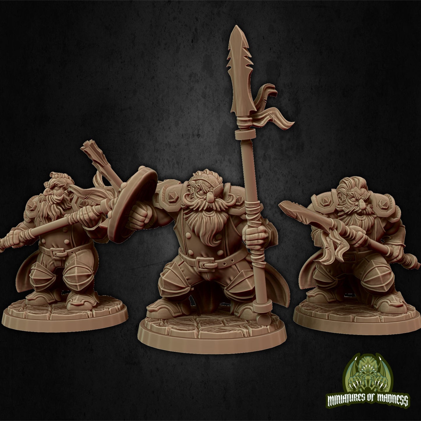 Dwarf Soldier Set 2 | Medium | Hold My Dwarf