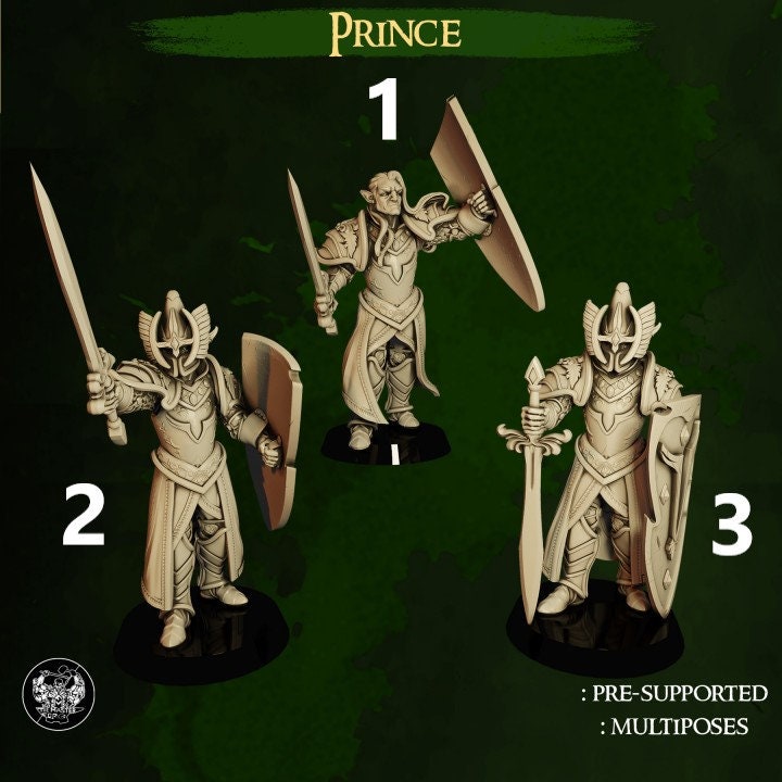 Elven Prince | Dwarves Vs. Elves | 32mm | Dungeons and Dragons | The Master Forge