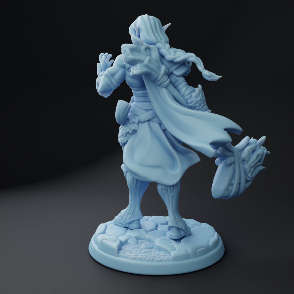 Phaden | Elf Paladin | Medium | Twin Goddess Miniatures