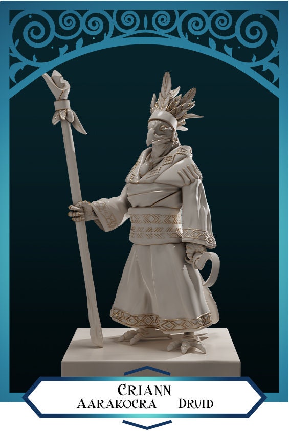 Aarakocra Druid | Criann | Medium | DND is a Woman | The Printing Goes Ever On