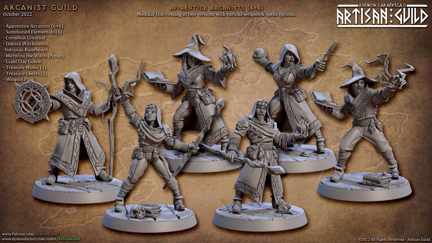 Apprentice Arcanists | Medium | 32mm | Artisan Guild | Arcanist Guild