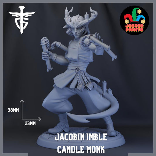 Jacobin Imble | Tiefling Monk | Medium | Twin Goddess Miniatures | 8k Resin Quality 3D Printed Miniature | Dungeons and Dragons | TTRPG