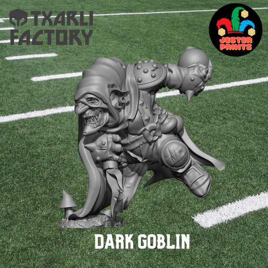 Dark Goblin | Bomber | Assassin Star Player | Fantasy Football | Txarli Factory | 3D Printed Miniature | 8K Quality Resin | Bases Included