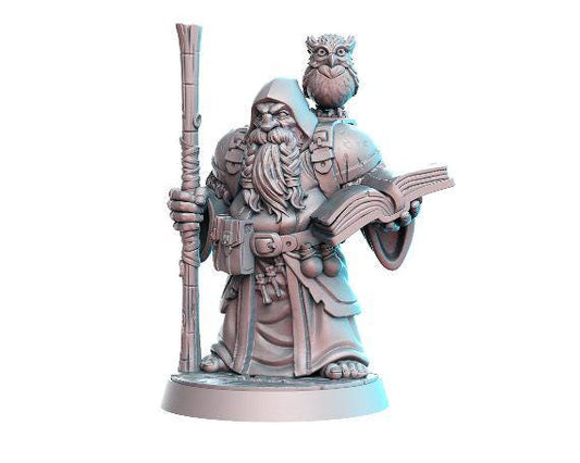 Dramnir | Dwarven Wizard | Medium | Dungeons and Dragons | TTRPG | RNE Studio