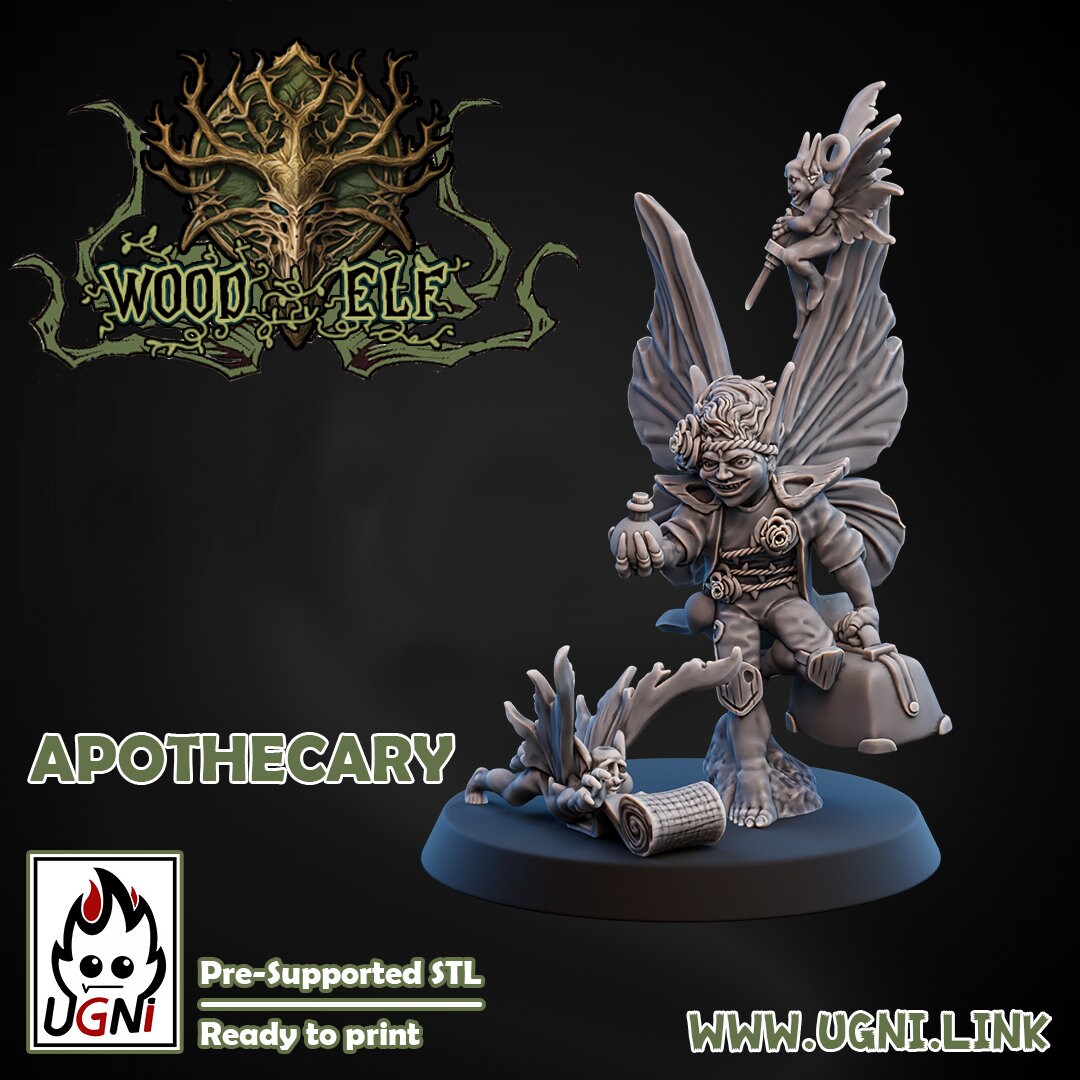 Coach and Apothecary | Support Staff | Fantasy Football | Ugni Miniatures