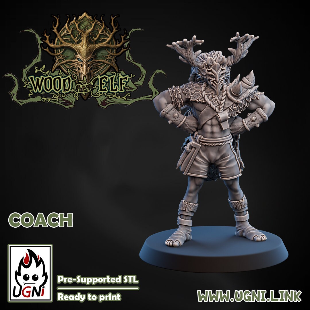 Coach and Apothecary | Support Staff | Fantasy Football | Ugni Miniatures