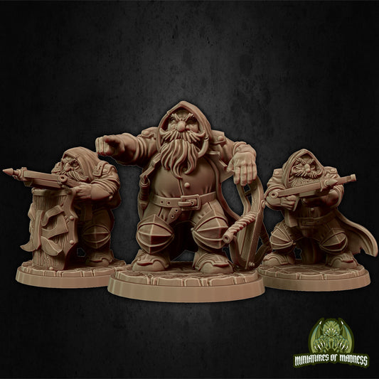 Dwarf Soldier Set 3 | Medium | Hold My Dwarf