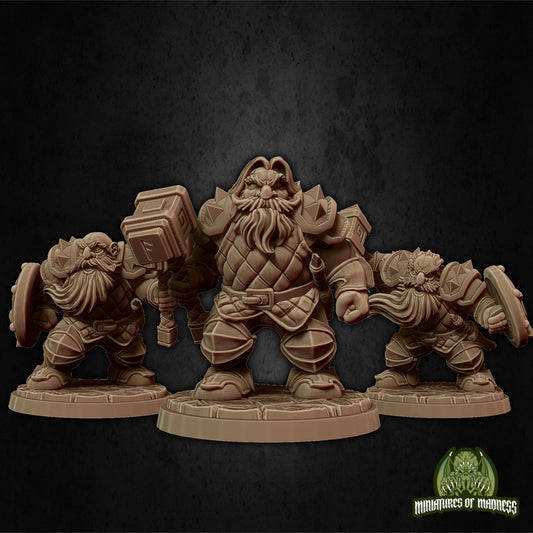 Dwarf Soldier Set | Medium | Hold My Dwarf