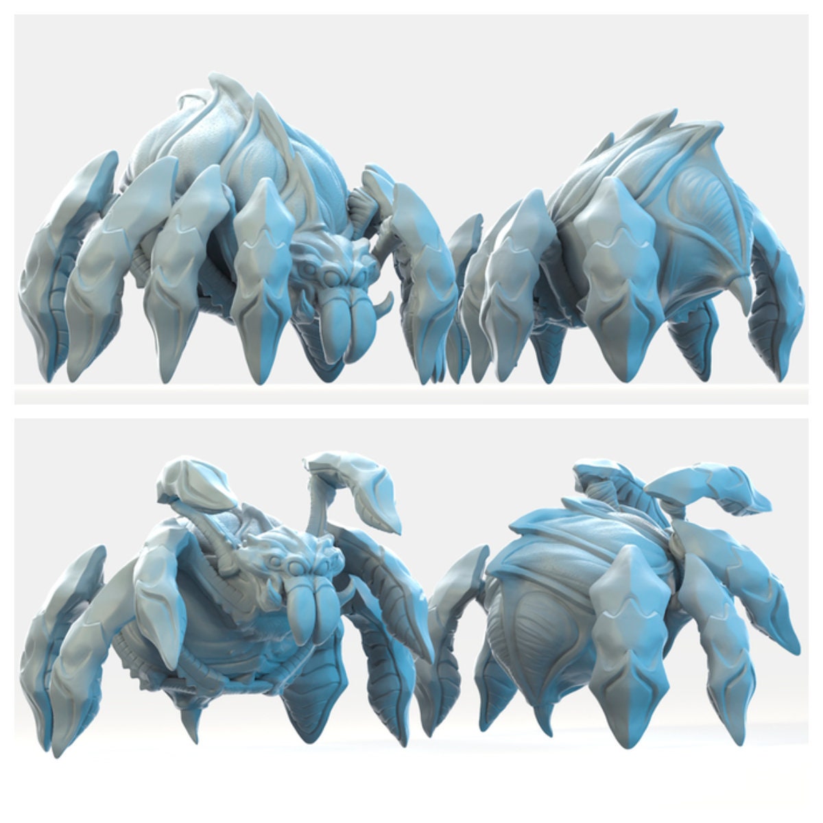 Spiders | Large | Bestiary Vol. 2  | Brayan Nafarrate
