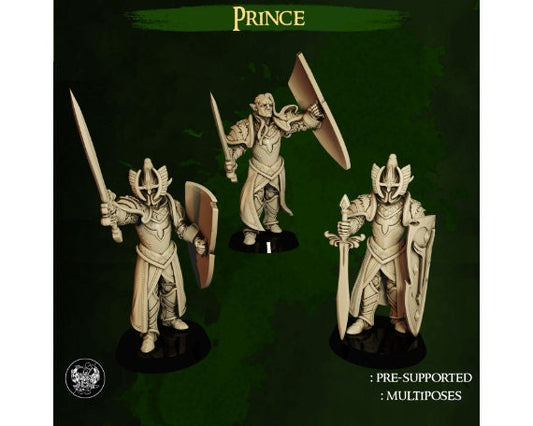 Elven Prince | Dwarves Vs. Elves | 32mm | Dungeons and Dragons | The Master Forge