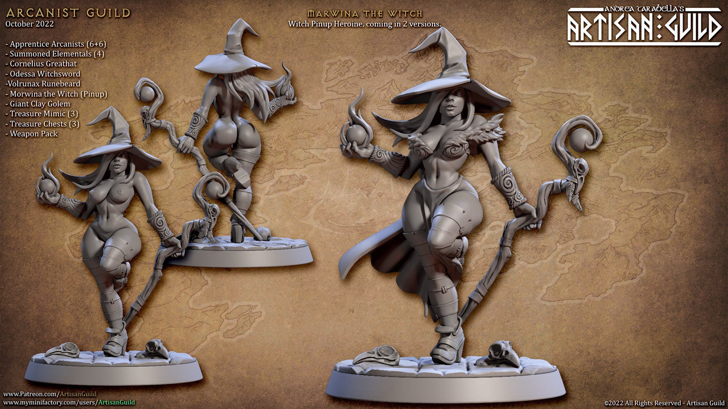 Marwina the Witch | Pinup | Medium | 32mm | Artisan Guild | Arcanist Guild