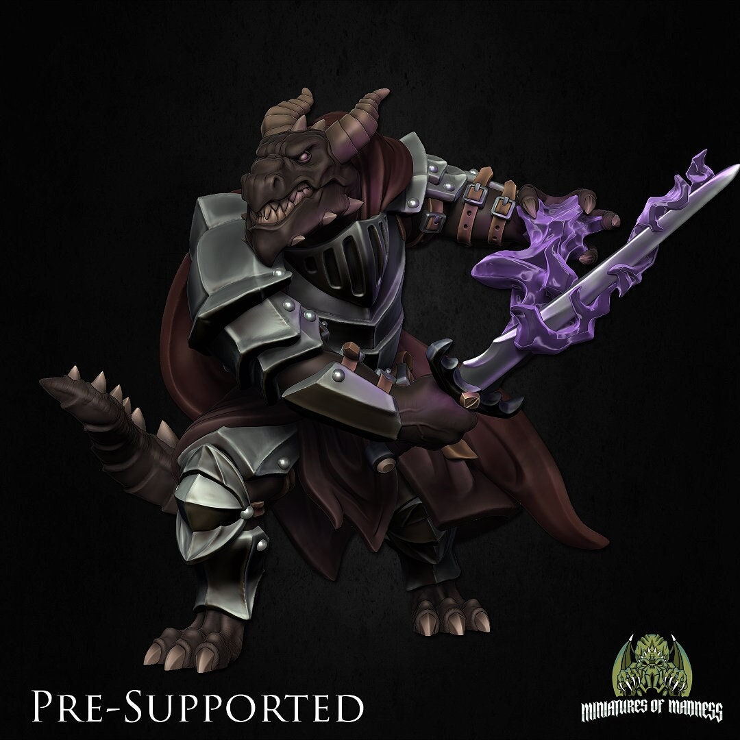 Gargax Darkoat | Dragonborn Paladin | Medium | Miniatures of Madness